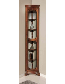 VETRINA  ANGOLO 1 PORTA  CON  VETRI