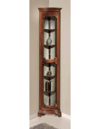 VETRINA  ANGOLO 1 PORTA  CON  VETRI