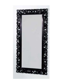 SPECCHIERA NERA LUCIDA