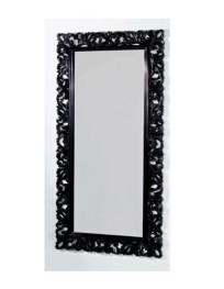 SPECCHIERA NERA LUCIDA