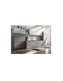 CUCINA LINEARE COLOR POLAR