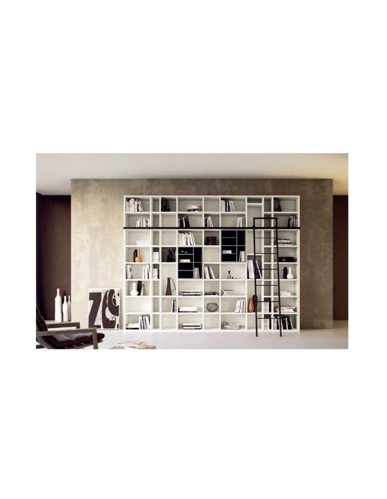 LIBRERIA CON VANI A GIORNO PIU SCALETTA INCORPORATA