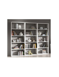 COMPOSIZIONE CON 3 LIBRERIE ACCOPPIATE