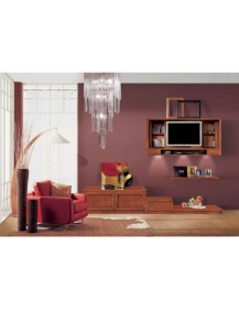 SOGGIORNO CON  ANTINE  LEGNO  PIU CASSETTO