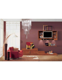 SOGGIORNO CON  ANTINE  LEGNO  PIU CASSETTO