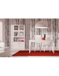 SOGGIORNO LACCATO CON LIBRERIA TAVOLO E 4 SEDIE