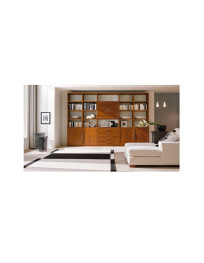 SOGGIORNO CON PORTE CASSETTI E VANI A GIORNO CON DUE TOMBO