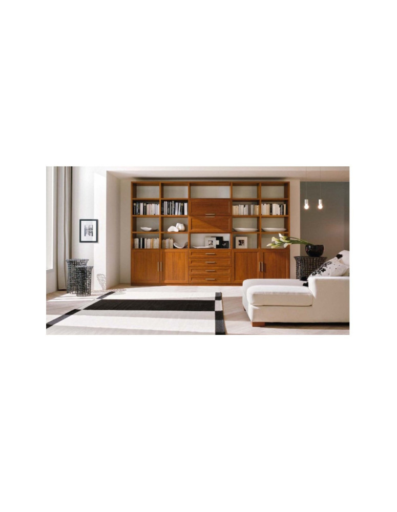 SOGGIORNO CON PORTE CASSETTI E VANI A GIORNO CON DUE TOMBO