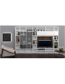 SOGGIORNO CON LIBRERIA E ANTE VETRO