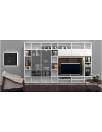 SOGGIORNO CON LIBRERIA E ANTE VETRO