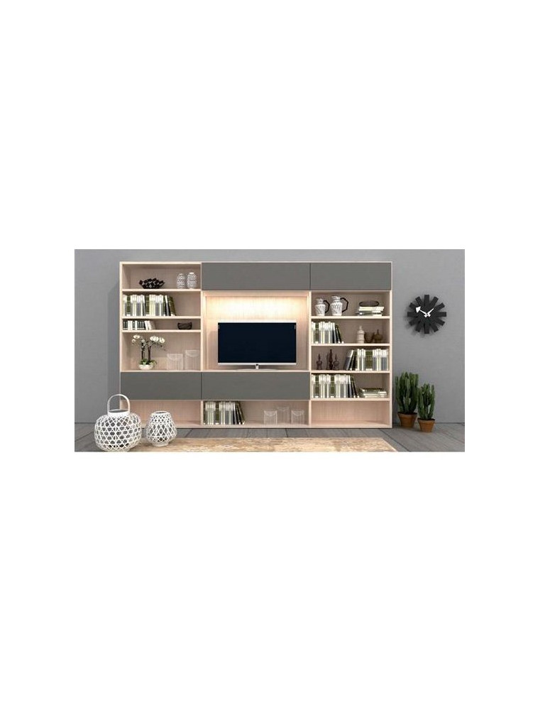 SOGGIORNO CON PORTA TV E LIBRERIA