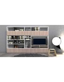 SOGGIORNO CON LIBRERIA