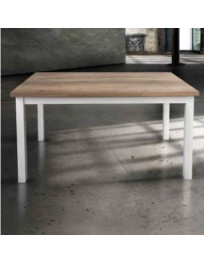 TAVOLO STRUTTURA BIANCA E PIANO GREZZO