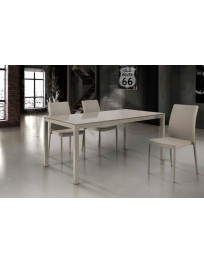 TAVOLO IN VETRO  E 1 ALL. DA CM 50