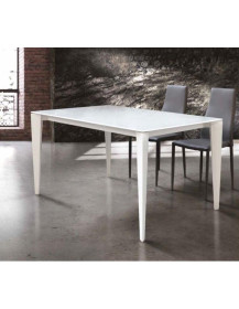 TAVOLO IN VETRO BIANCO  E 2 ALL. DA CM 40/50