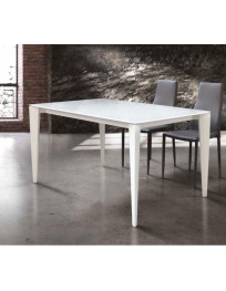 TAVOLO IN VETRO BIANCO  E 2 ALL. DA CM 40/50