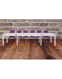 TAVOLO BIANCO FRASSINATO