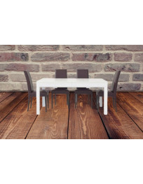 TAVOLO ROVERE  GRIGIO