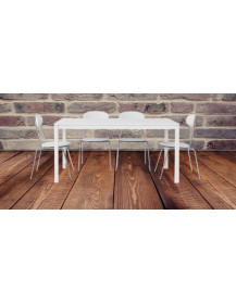 TAVOLO BIANCO FRASSINATO CON STRUTTURA METALLO