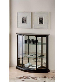 VETRINA PIATTA BASSA CON PORTA TUTTA A VETRO