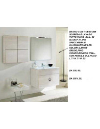 BAGNO CON 1 CESTONE SOSPESA E LAVABO