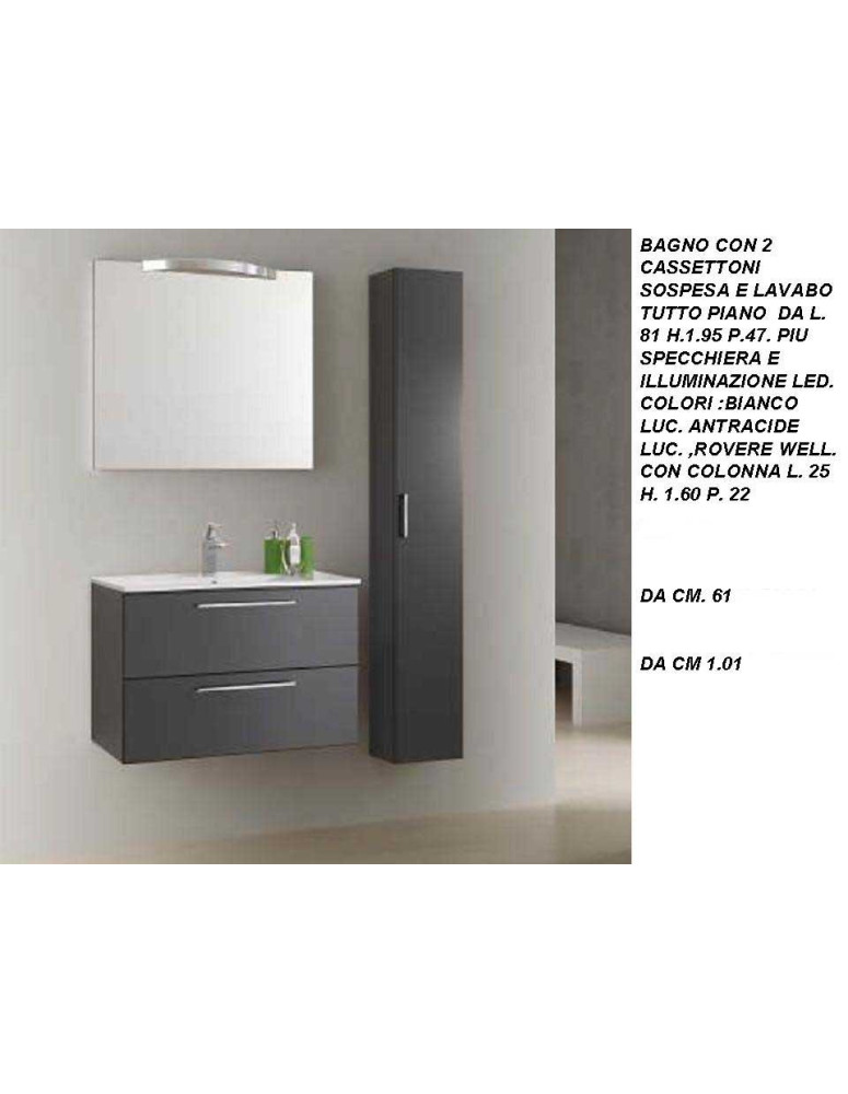 BAGNO CON 2 CASSETTONI SOSPESO LAVABO PIATTO