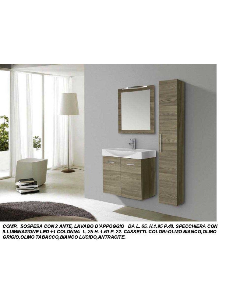 COMPOSIZIONE SOSPESA CON 2 ANTE CON LAVABO