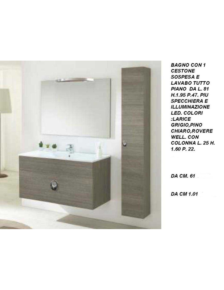 BAGNO CON1 CESTONE SOSPESA E LAVABO TUTTO PIANO